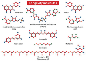Longevity molecules. NAD+, nicotinamide mononucleotide (NMN), nicotinamide riboside (NR), spermidine, resveratrol, fisetin, quercetin, metformin, coenzyme Q10, curcumin