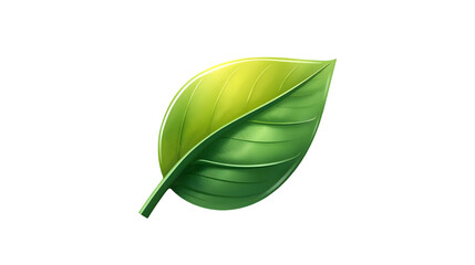 Vibrant green leaf with detailed veins on black background