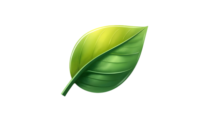 Vibrant green leaf with detailed veins on black background