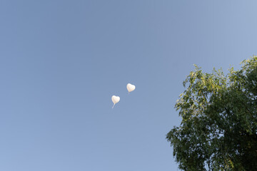 Heart Balloons in Sky