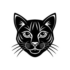 Obraz premium A single red rose with green leaves isolated on transparent background