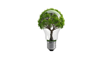 Lightbulb filled with lush green trees symbolizing eco friendly ideas