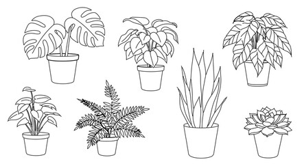 Collection of seven different potted house plants in line art style
