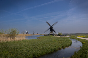 Fototapeta premium Kinderdijk Netherlands Mill