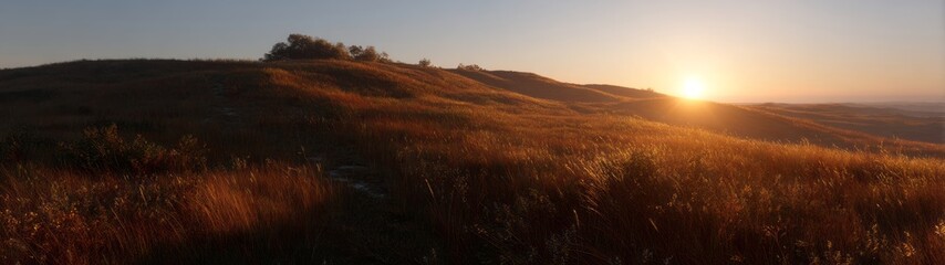 Golden hour panorama of open grassland in hdri serene nature landscape at dusk
