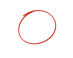 Green check mark symbol isolated on transparent background