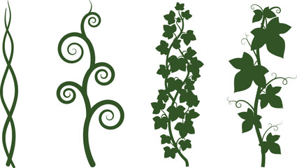 Green vines foliage vector illustration decorative art