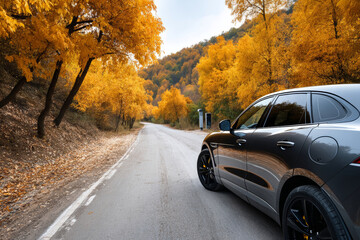 Electric car on scenic autumn road with charging station, golden foliage travel concept