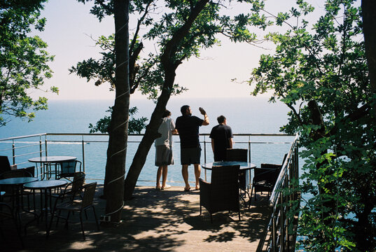 Enjoying the Ocean View From the Treetops