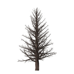 A leafless tree with a brown trunk and branches against a stark black background in a simple illustration