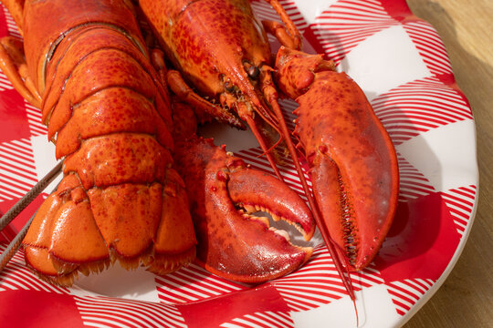 Lobster Tail And Claw