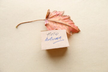 Hello autumn concept. Autumn background.