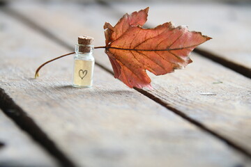 Autumn Background with heart and Leaf