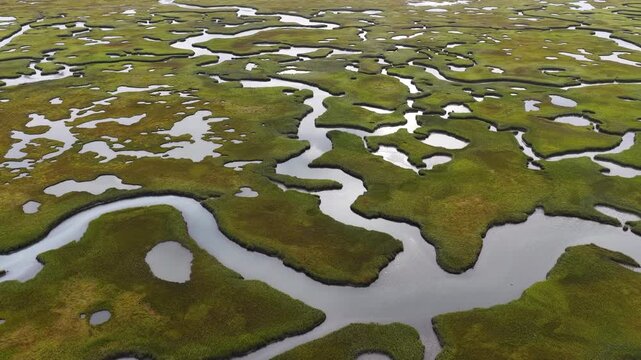 Sinuous channels meander through a beautiful salt marsh on Cape Cod, Massachusetts. These natural carbon sinks are sheltered nurseries for wildlife and act as a buffer against storms and waves.