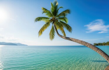 A leaning palm tree on glowing sand beach with turquoise ocean water and clear blue sky horizon creating a relaxing tropical paradise scene of calm purity