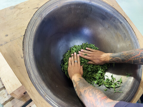 Anonymous tattooed person makes tea