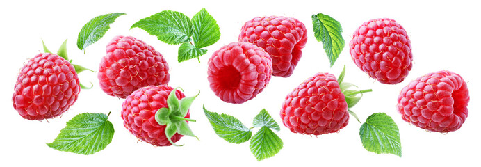 Set of juicy flying raspberries with leaves isolated on transparent background.