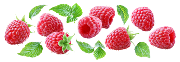 Set of juicy flying raspberries with leaves isolated on transparent background.