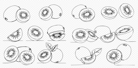 A collection of hand-drawn kiwi fruit illustrations, showcasing whole, halved, and sliced pieces in a minimalist line art style.