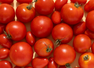 Garden Tomatoes