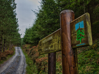 Rustic Gorbea trail sign in the forest - A weathered wooden signpost for the Gorbea natural park points down a winding gravel path through a dense pine forest.