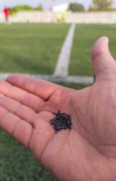 Hand holds rubber pellets from synthetic turf