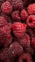 raspberry close up