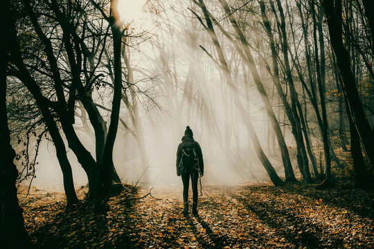 woman and dog strolling in beautiful foggy forest in autumn