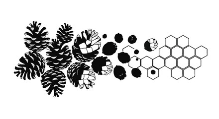 Nature's transition from organic pinecones to geometric honeycomb patterns