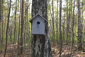 The wooden bird house on a birch