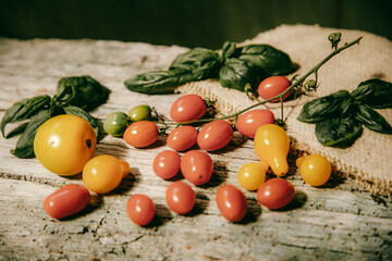 red, yellow and green cherry tomatoes