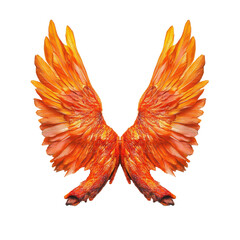 Fototapeta premium Vibrant Orange Feathered Wings Symbolizing Freedom and Beauty on transparent background