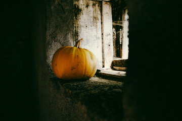 halloween pumpkins ready for carving