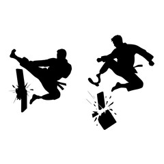 Dynamic martial artists execute powerful kicks, shattering boards with impressive force and athletic prowess.