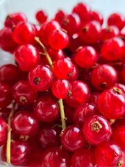 red currant berries.  vibrant redcurrants, close up macro shot