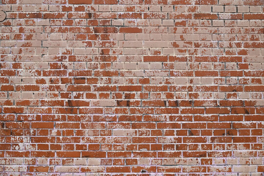 Fototapeta Brick wall painted pink white paint