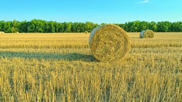 Aerial scenery, green trees, field with rolled haystacks, beautiful mountains