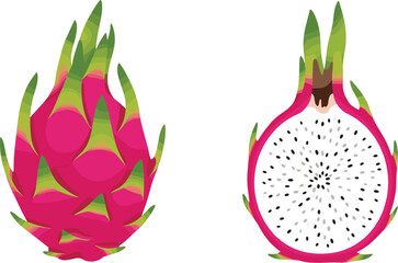 dragon, fruit, pitaya, tropical, exotic, fresh, whole, slice, pink, green, seeds, healthy, food, vector, design, art, illustration, nutrition, dessert, ingredient