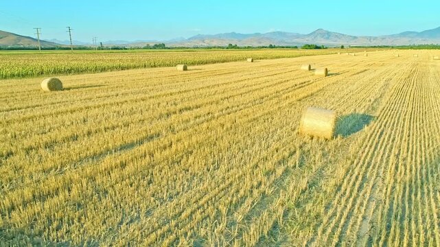 Colorful nature, beautiful agricultural landscape, fields, aerial view