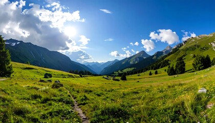 Panoramic alpine meadow vista