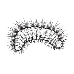 Black and white vector drawing of a fuzzy caterpillar, outlined with bold black lines, showing detailed segmentation, hair, and realistic insect structure.