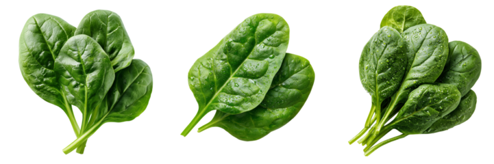 Set of Fresh spinach leaves isolated  on transparent png background. Ai generated