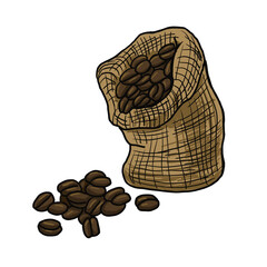 Coffee beans in a bag