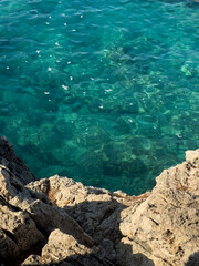 scenic seaside with rugged rocks