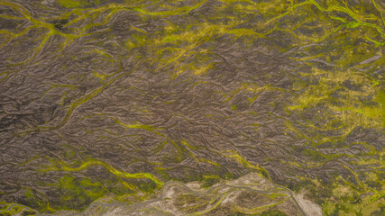 Drone aerial Iceland showing braided glacial river channels spreading through volcanic valley with barren rocks and moss vegetation