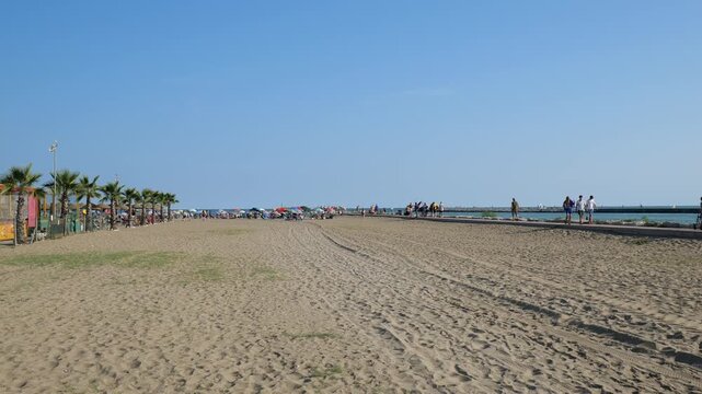 A view of the beach and palm trees near the sea. People relaxing. Summer vacation. Seaside relaxation. August 19, 2025. Caorle, Italy. - Powered by Adobe