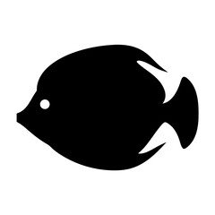 Striking Black Silhouette of a Tropical Fish Swimming in a Reef