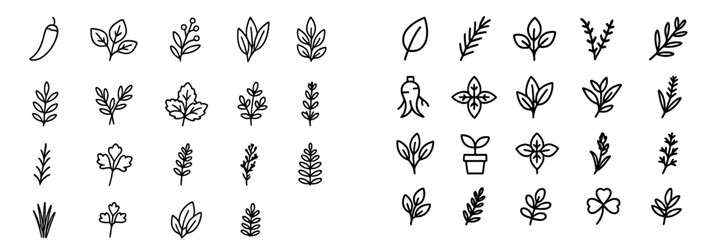 Collection of simple line drawings of various plants and leaves arranged in a grid pattern