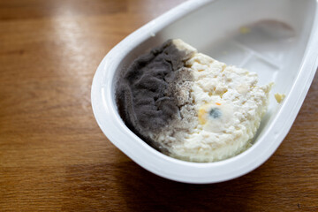 Spoiled cottage cheese with mold in container