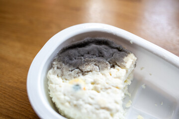 Spoiled cottage cheese with mold in container